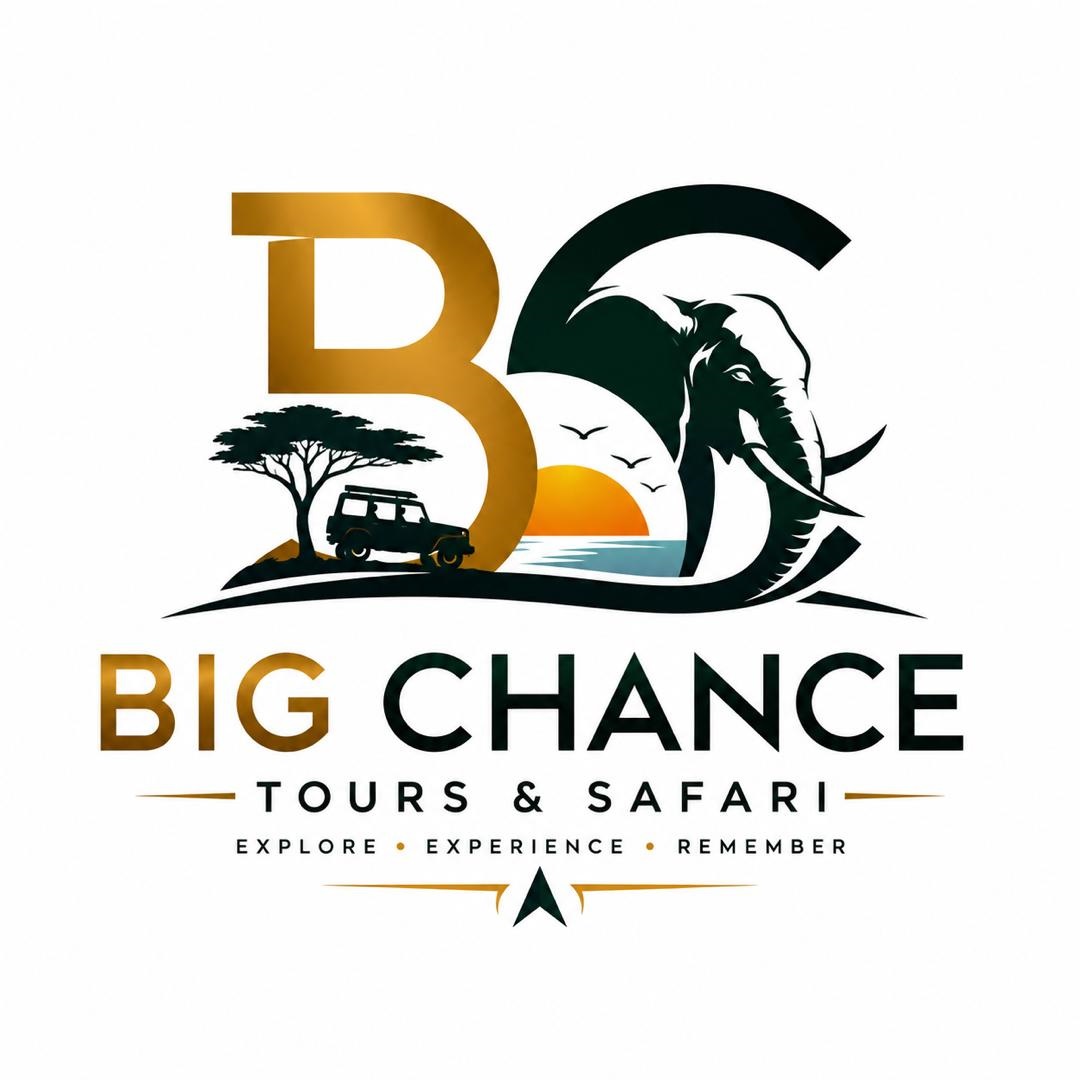 Change Tour logo